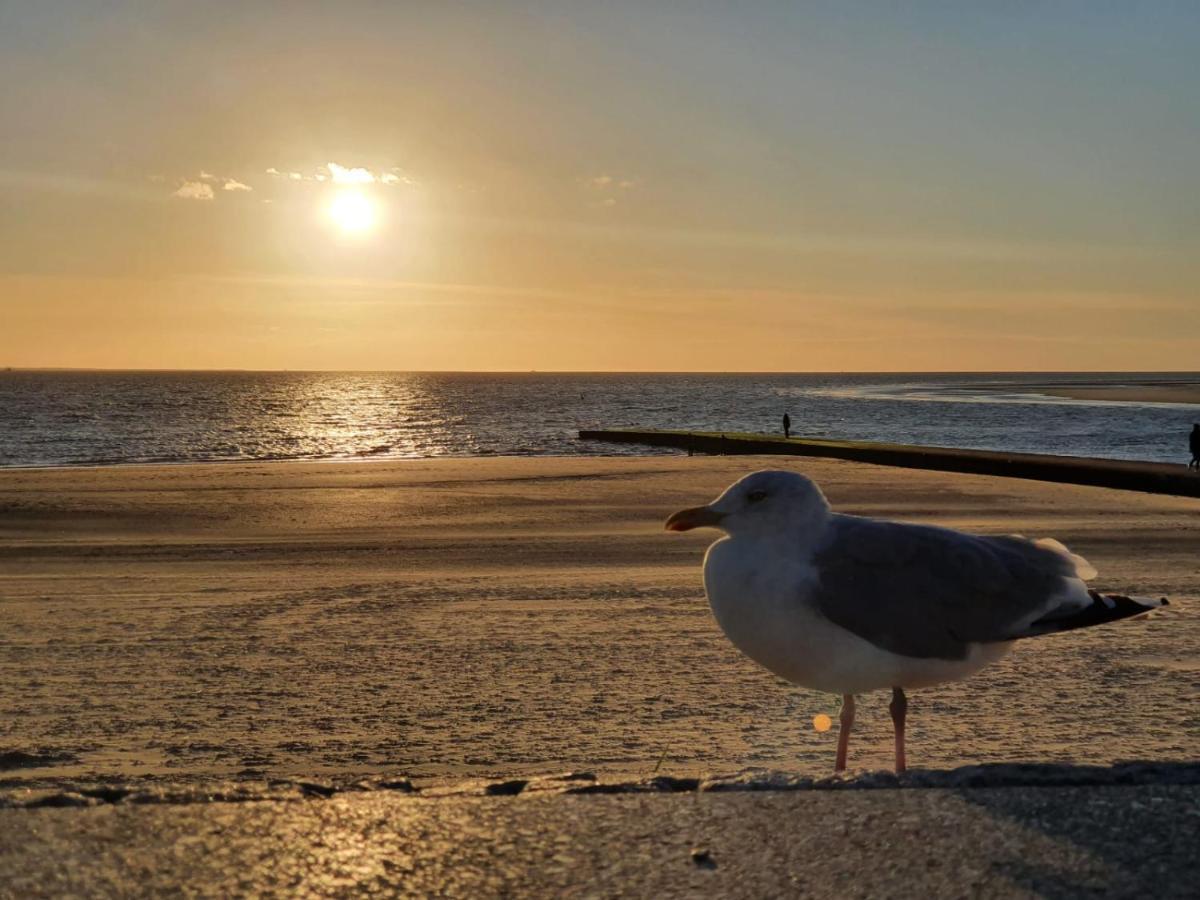 Huus Borkum Daire Dış mekan fotoğraf