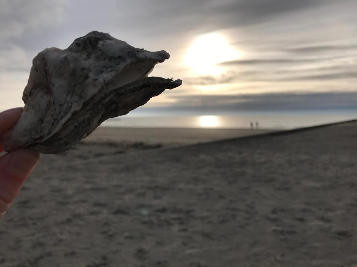 Huus Borkum Daire Dış mekan fotoğraf